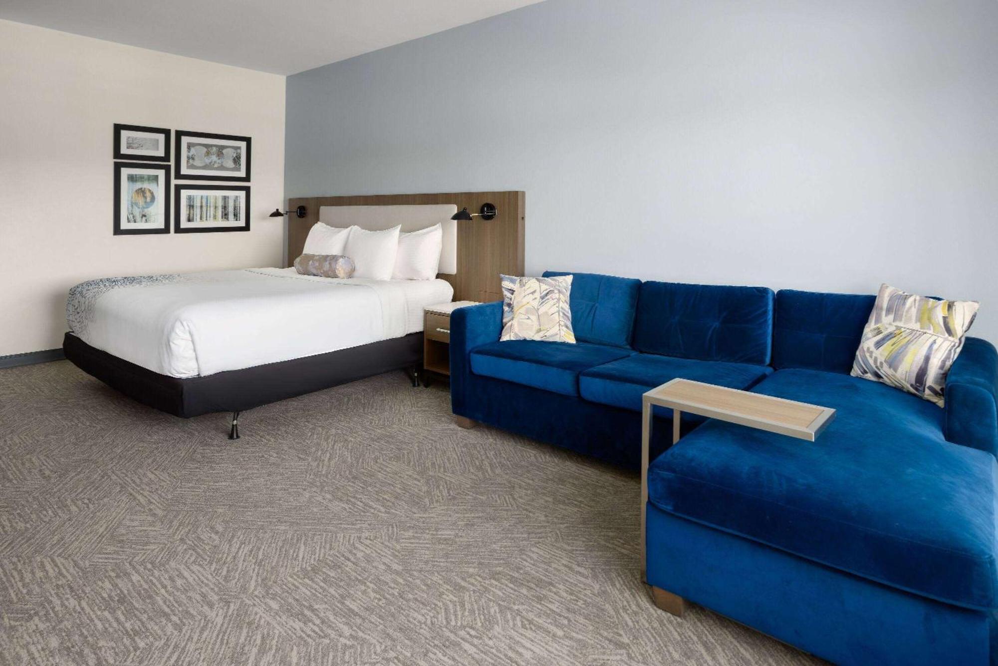 La Quinta Inn & Suites By Wyndham لوكوست غروف المظهر الخارجي الصورة